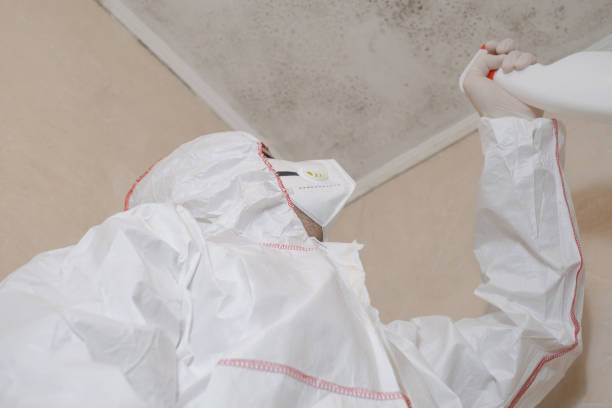 Best Office Mold Removal Services  in Prairie City, IA