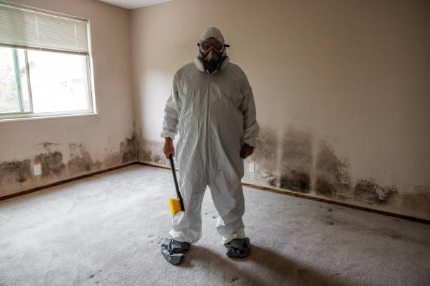 Reliable Prairie City, IA Mold Removal Solutions